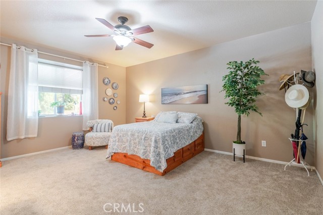 MLS #SR25229214 image #32