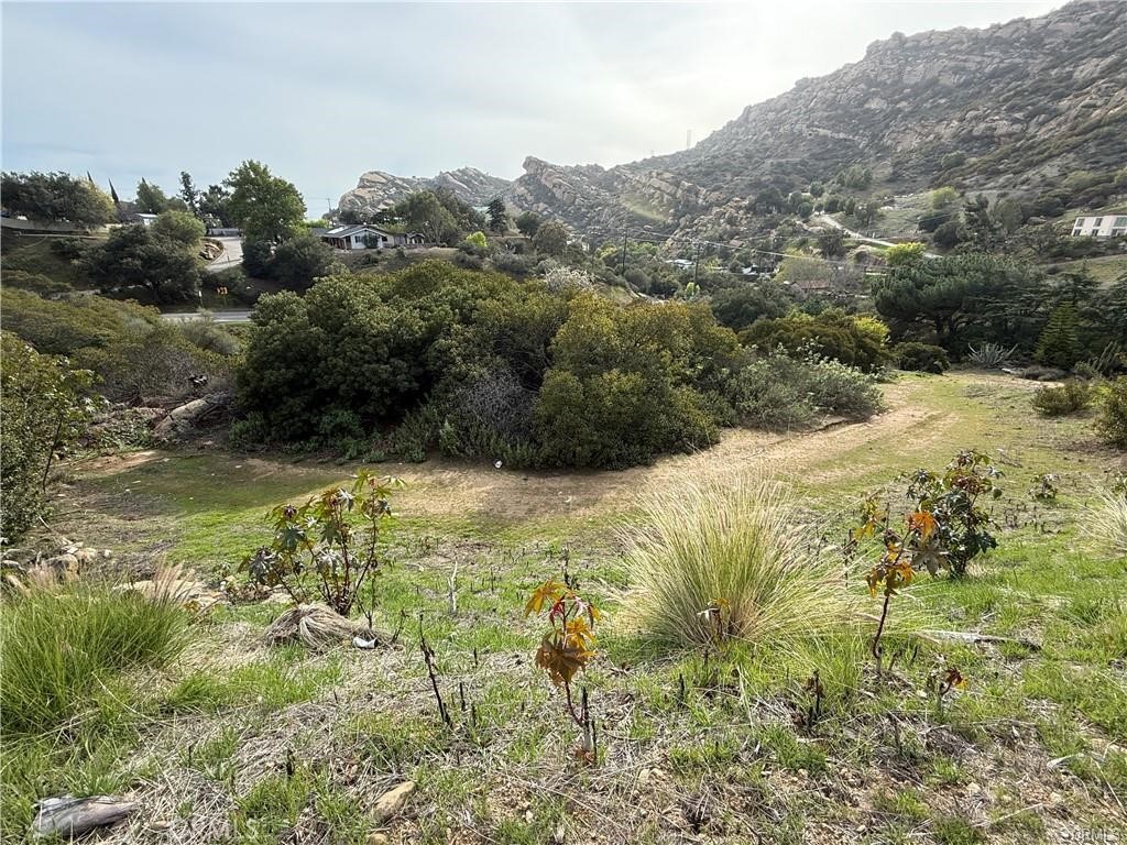 MLS #SR25229571 image #3