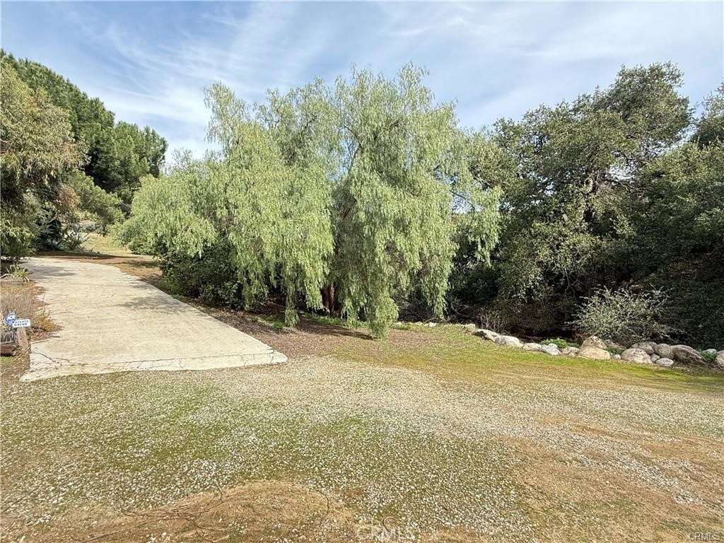 MLS #SR25229571 image #4