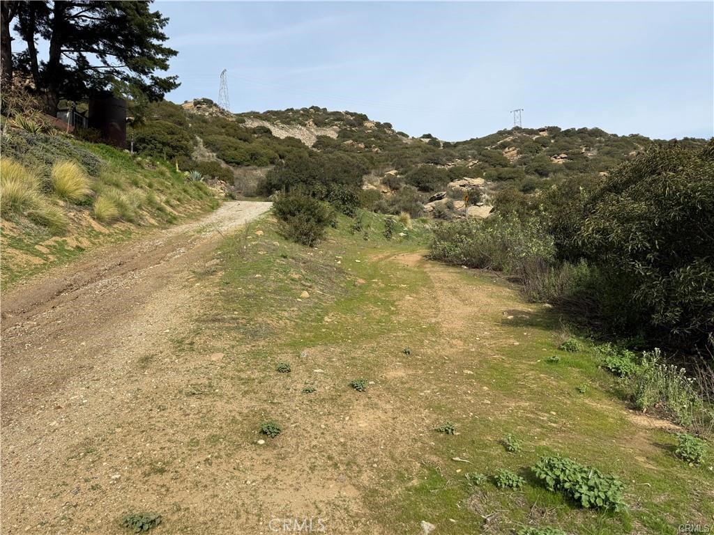 MLS #SR25229571 image #5