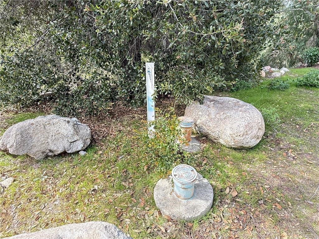 MLS #SR25229571 image #6