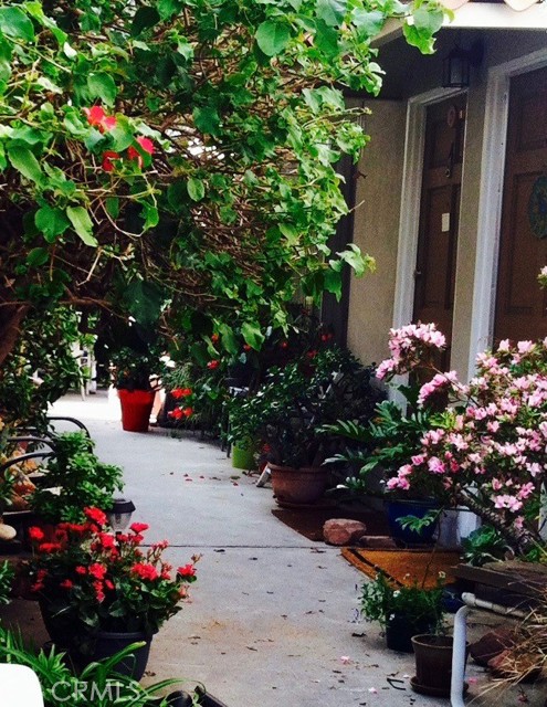 MLS #SR25229930 image #1