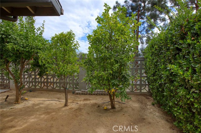 MLS #SR25230443 image #24