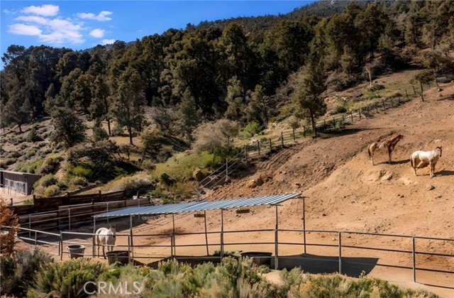 MLS #SR25230583 image #69