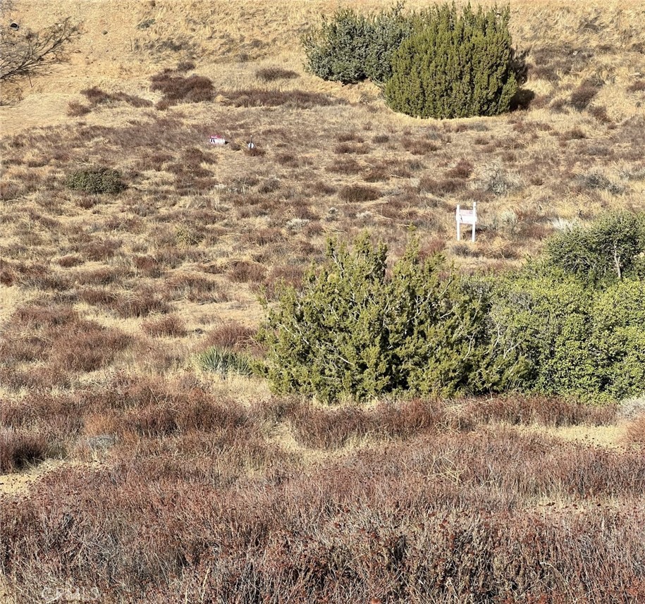 MLS #SR25230661 image #7