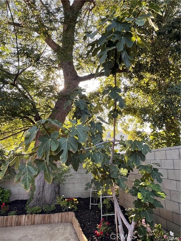 MLS #SR25231545 image #20