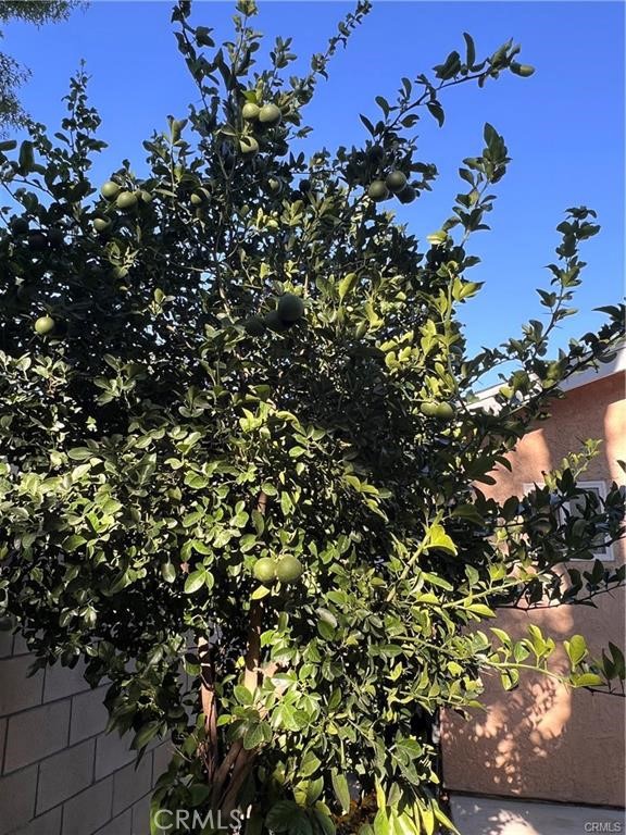 MLS #SR25231545 image #21