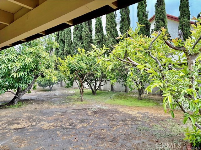 MLS #SR25232385 image #23