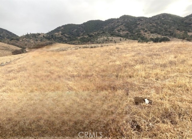 MLS #SR25234132 image #1