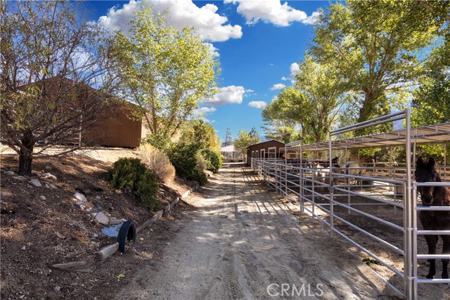 MLS #SR25234137 image #44