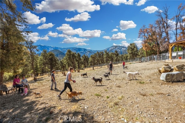 MLS #SR25234137 image #52