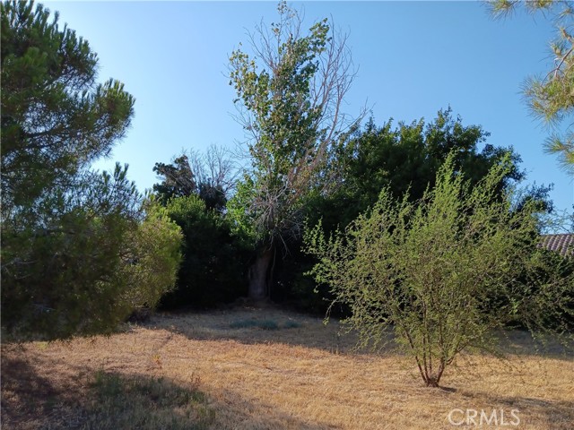 MLS #SR25235317 image #12