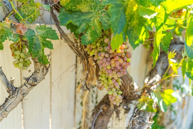 MLS #SR25235556 image #30