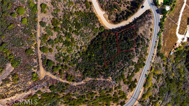 MLS #SR25236675 image #10