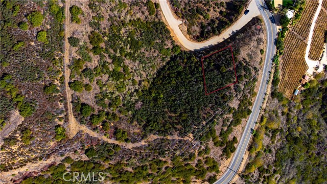 MLS #SR25236675 image #8