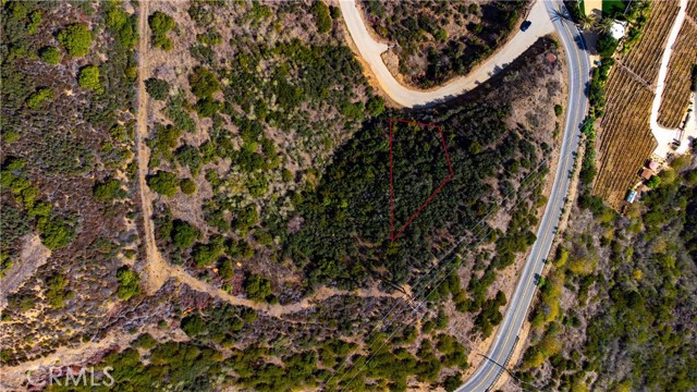 MLS #SR25236675 image #9