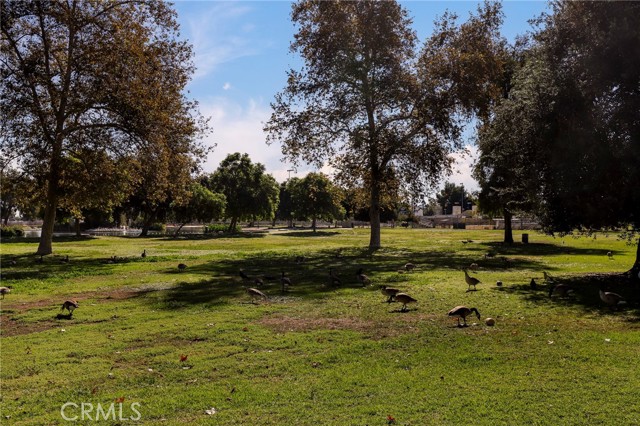 MLS #SR25236744 image #28