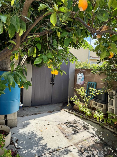 MLS #SR25237263 image #7