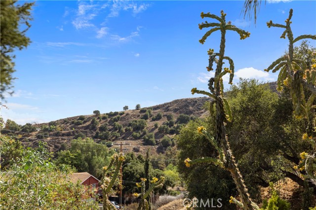 MLS #SR25237300 image #23