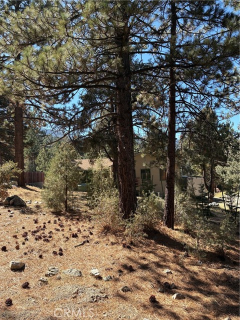 MLS #SR25237662 image #11