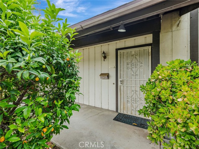 MLS #SR25237668 image #8