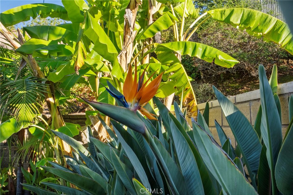 MLS #SR25239139 image #48