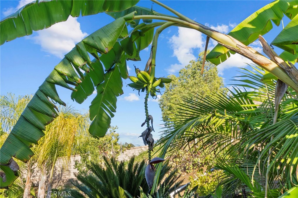 MLS #SR25239139 image #49