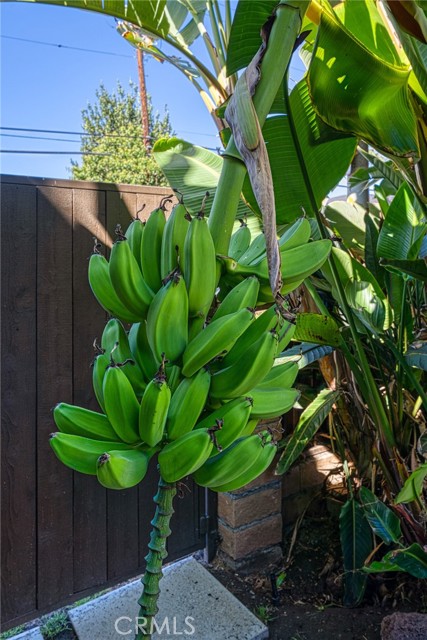 MLS #SR25240480 image #19