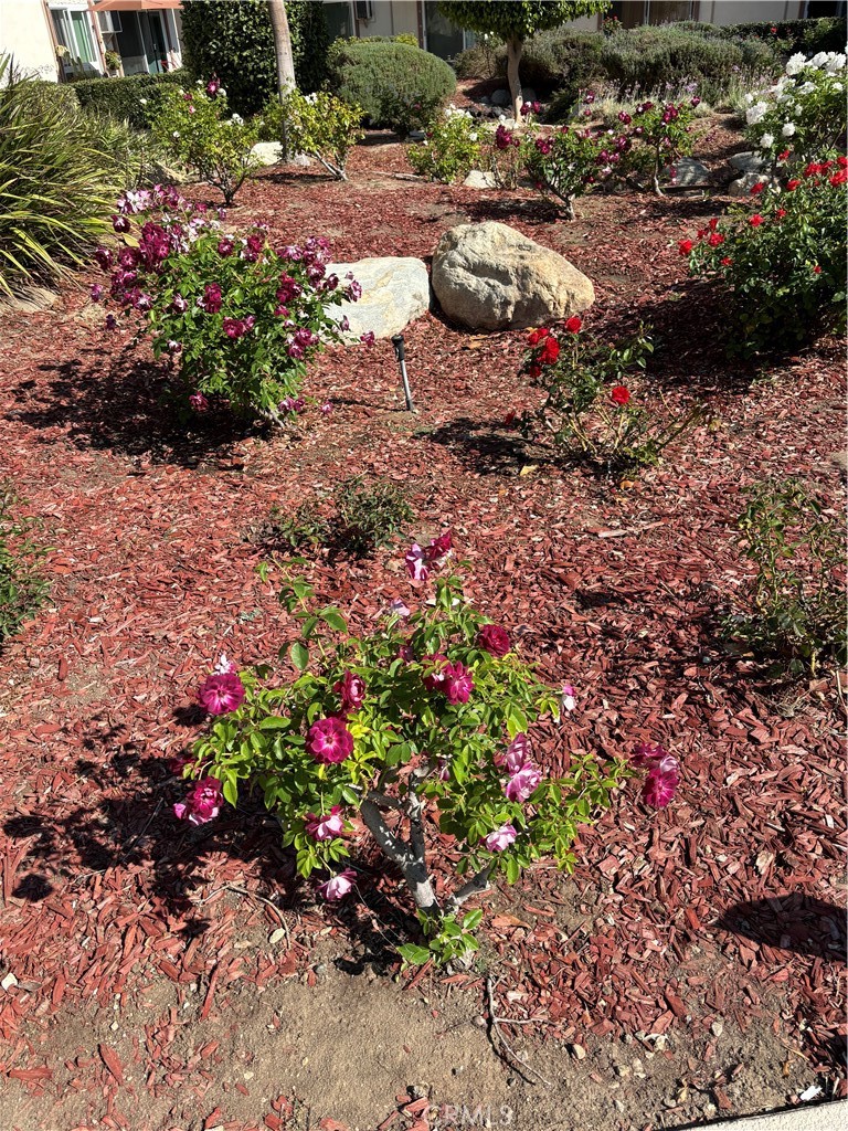 MLS #SR25240992 image #19