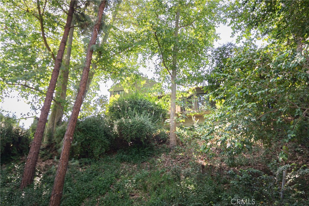 MLS #SR25241505 image #47