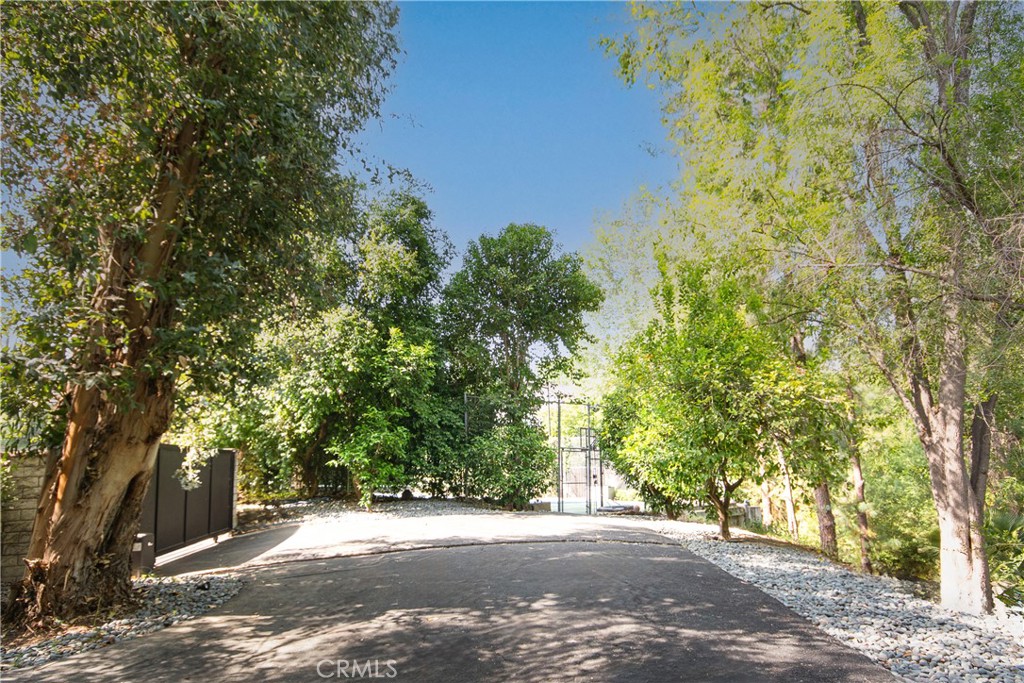 MLS #SR25241505 image #7