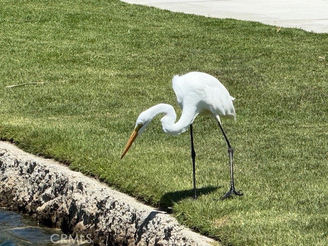 MLS #SR25241649 image #64