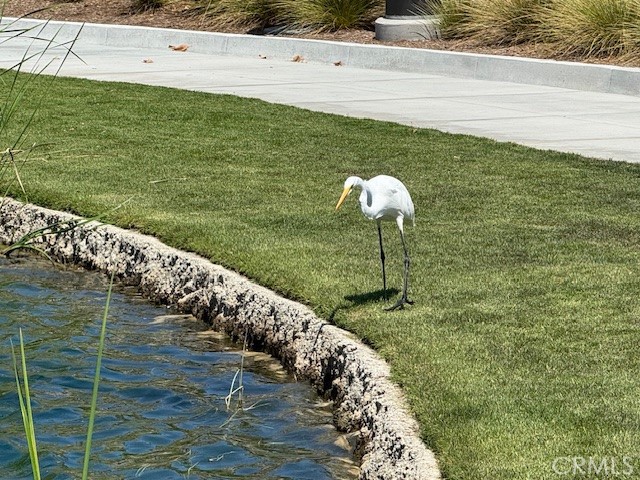 MLS #SR25241649 image #65