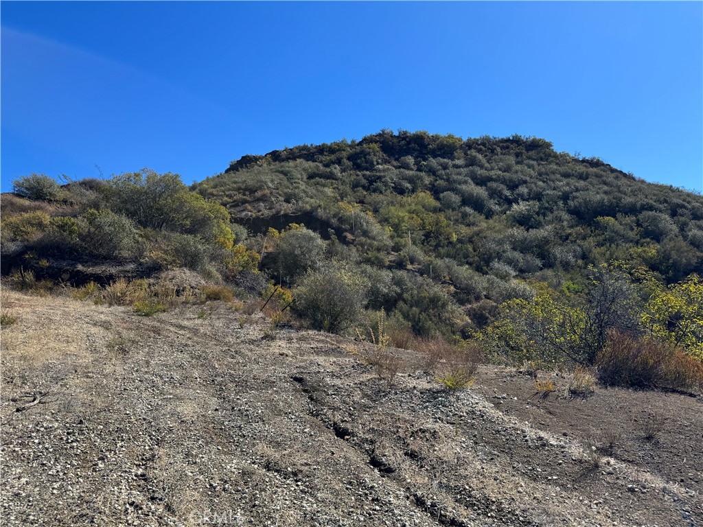 MLS #SR25242097 image #12