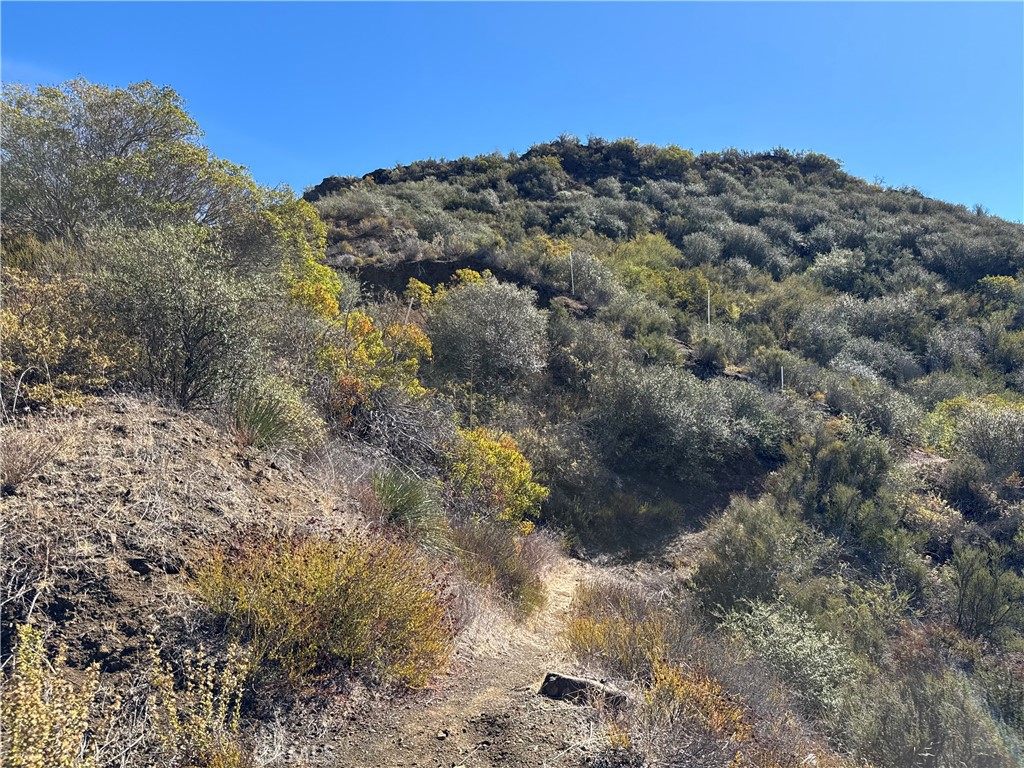 MLS #SR25242097 image #13