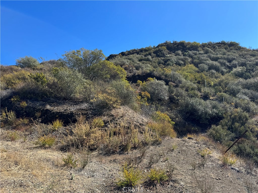 MLS #SR25242097 image #15