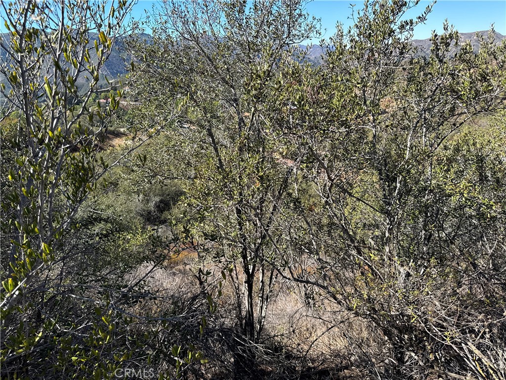 MLS #SR25242097 image #22