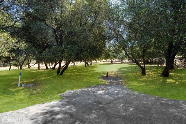 MLS #SR25242294 image #1