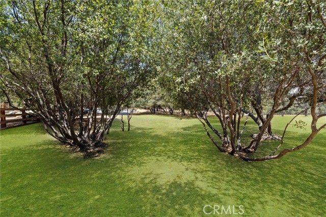 MLS #SR25242294 image #11