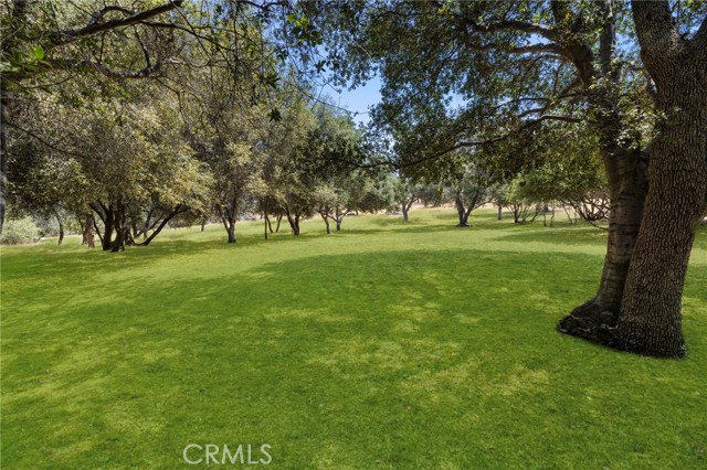 MLS #SR25242294 image #13