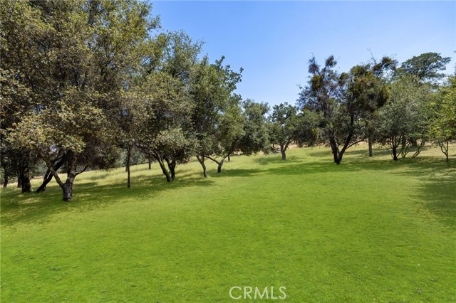 MLS #SR25242294 image #2