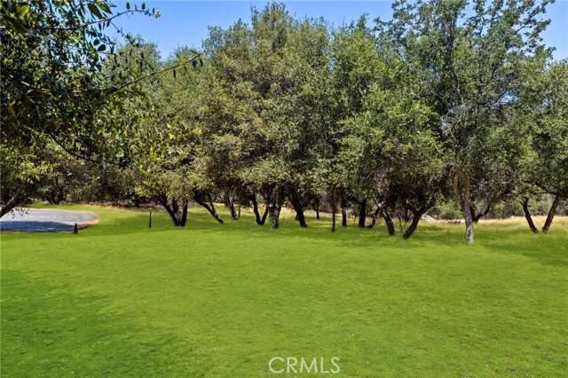 MLS #SR25242294 image #3