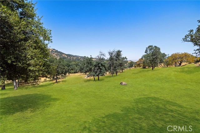 MLS #SR25242294 image #7