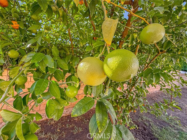 MLS #SR25242498 image #34