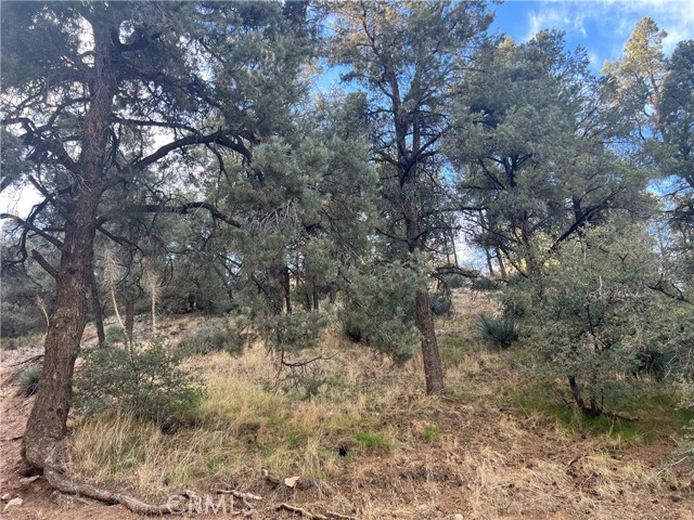 MLS #SR25242960 image #0