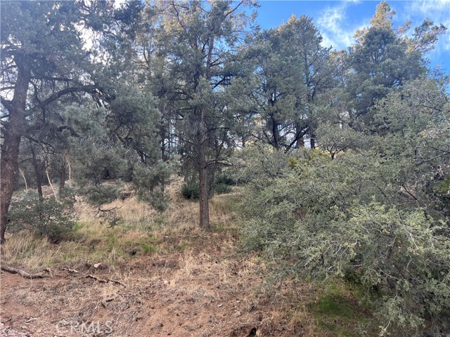 MLS #SR25242960 image #1