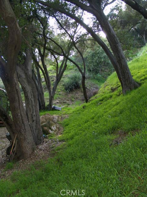 MLS #SR25243207 image #12