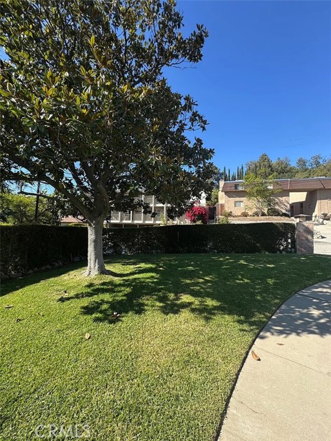 MLS #SR25243252 image #28