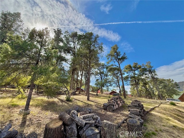 MLS #SR25243375 image #12