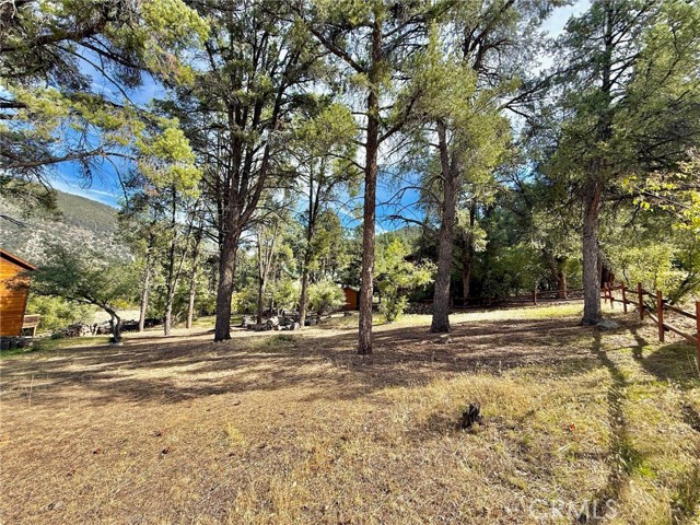 MLS #SR25243375 image #9